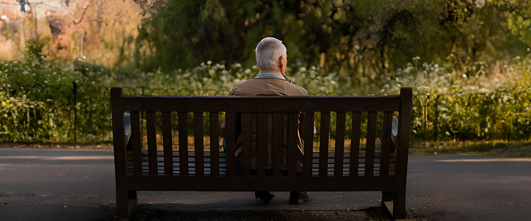 An old man sat on a park bench