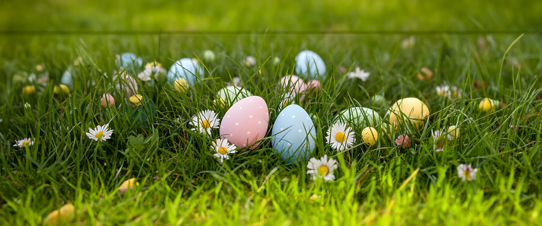 Some easter eggs in the grass